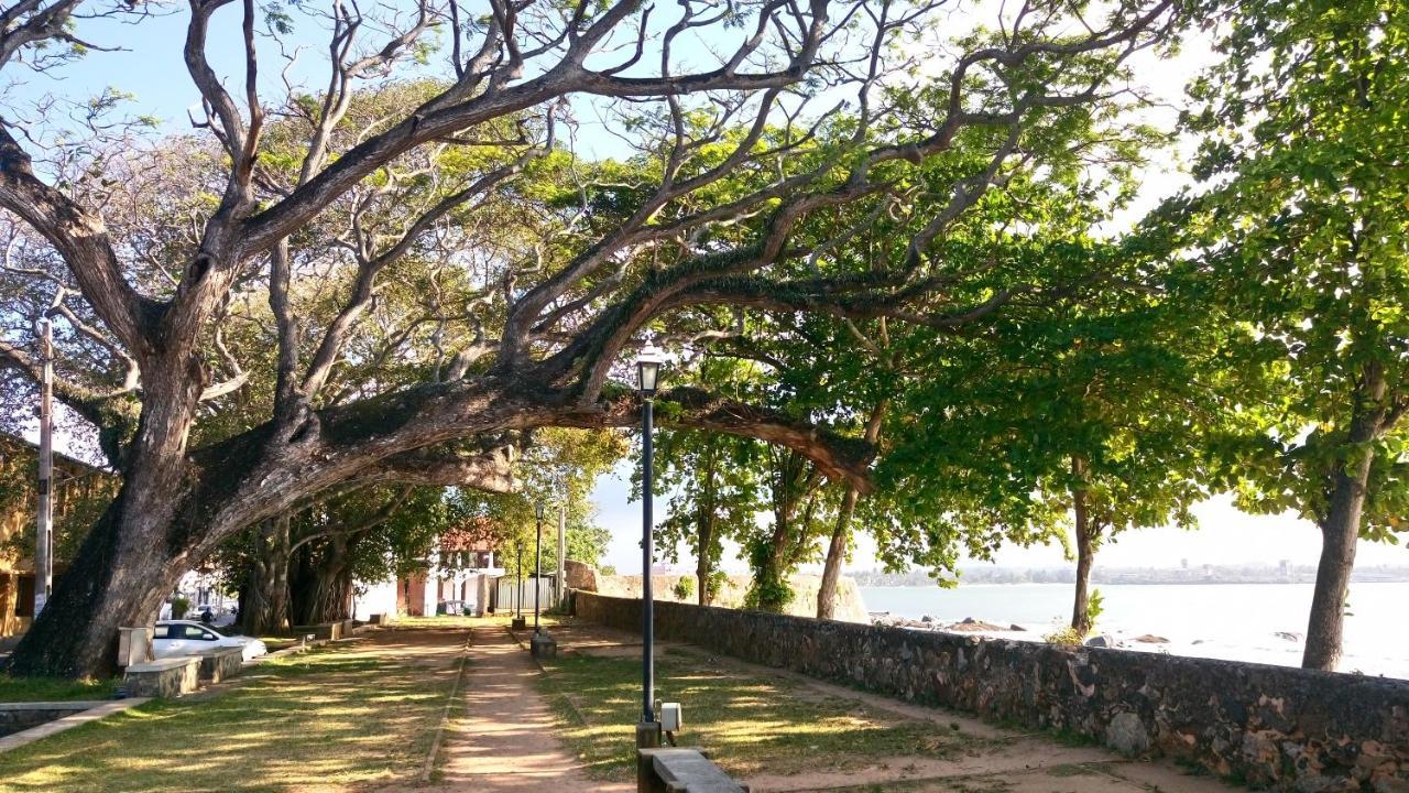 Oesis - Stylish Villa Steps From Historic Galle Fort Ngoại thất bức ảnh